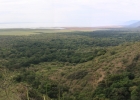 Tansania - Manyara N.P.