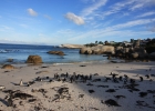 Boulders Beach