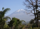 Kilimanjaro
