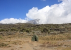 Kilimanjaro - Shira Camp
