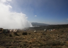 Kilimanjaro - Shira Camp