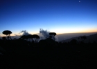 Kilimanjaro - Shira Camp