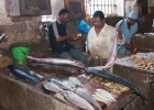 Zansibar - Fischmarkt