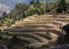 Tatopani-Ghorepani