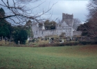 Muckross Abbey