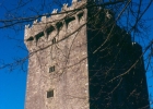 Blarney Castle