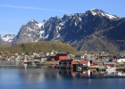 Reine