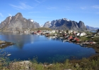 Reine