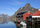 Reine