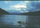 Loch Lomond