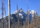 Grand Teton N.P.